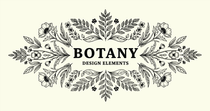 Elegant Floral Frame Design with Botany Text Element Vector