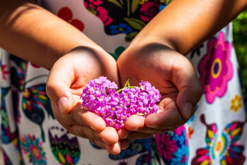 Girl holding purple lantana flowers in open palms: springtime