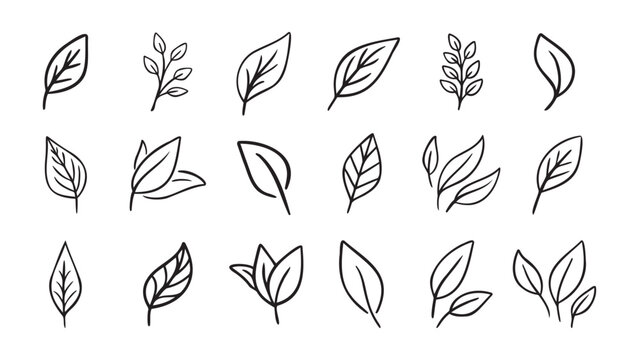 Hand drawn leaf eco set. Black line doodle leaf icons