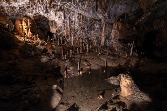 Postojna, Tropfsteinh&ouml;hle, Postojnska jama, Adelsberg, Slovenien, 27.10.2025 < english> Postojna, stalactite cave, Postojnska jama, Adelsberg, Slovenia, October 27, 2025