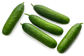 Five mini cucumbers arranged on white background