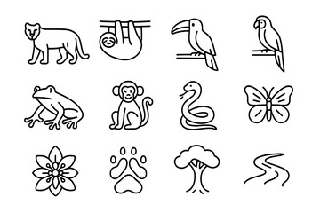 Obraz premium Rainforest Animal Icons. Rainforest animals. Line icon set of Rainforest animals: jaguar, sloth, toucan, macaw, tree frog, monkey, snake, butterfly, exotic