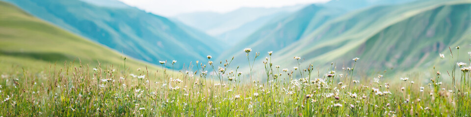 Fototapeta premium mountain landscape, featuring soft, hazy layers of rolling hills extending into distance under sky. Foreground is dominated by meadow of white and yellow wildflowers, offering sense of depth
