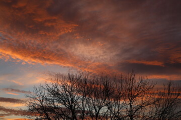 Obraz premium Lever de soleil rosé à Genève vu depuis un appartement