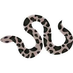 Naklejka premium Gray and Black Spotted Snake Reptile Animal on Transparent Background Studio Shot Detailed Illustration