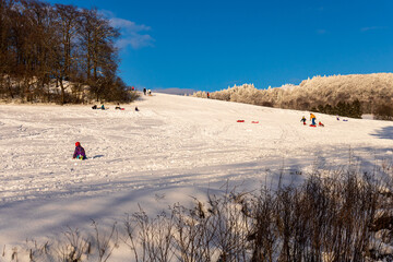 Children Sledding on Snowy Hill in Rh&ouml;n Mountains, Germany