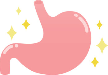 キラキラしている健康的な胃