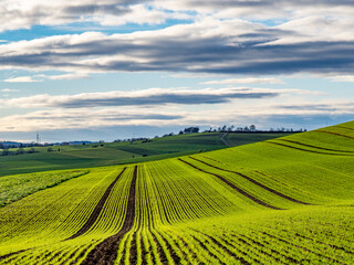 Naklejka premium Agrarlandschaft im Spätherbst