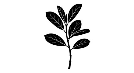 Black silhouette of a plant branch with multiple leaves on a white background, a simple botanical graphic.