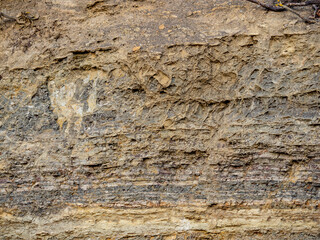 Erosion an einer felsigen Böschung im Spätherbst
