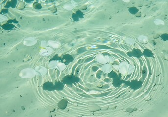 Serene water with floating flower petals and pebble in cool tones