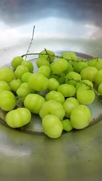 Fresh Phyllanthus acidus or cermai fruit on bowl. Phyllanthus acidus is a fruit that tastes sour and lots of vitamins