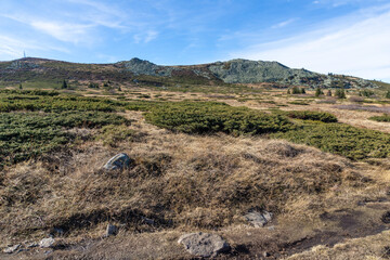 Landscape of Vitosha Mountain at Platoto area, Bulgaria