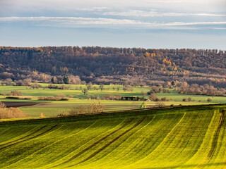Agrarlandschaft im Spätherbst