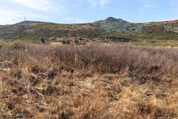 Landscape of Vitosha Mountain at Platoto area, Bulgaria