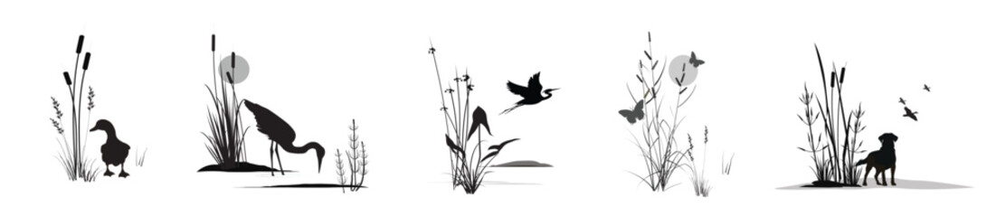 Ducks, herons and butterflies in marshland thickets (cattail, reed, cane, bluegrass, arrowhead, horsetail, other marsh grasses) and a duck hunting dog. Isolated silhouette landscapes. Drawings set.
