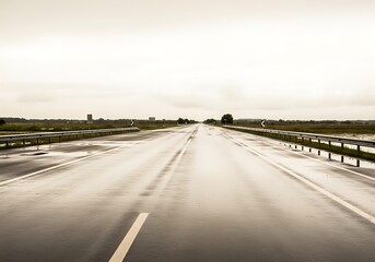 Fototapeta premium Wet highway stretches into distance beneath overcast sky, reflecting light