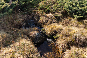 Landscape of Vitosha Mountain at Platoto area, Bulgaria