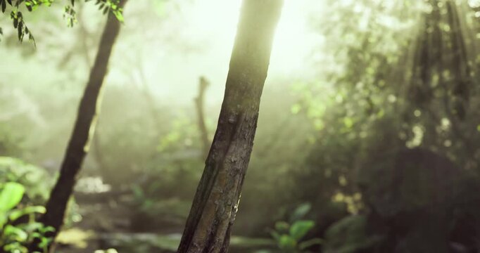 A tranquil forest is illuminated by soft sunlight piercing through the trees. The vibrant greenery and peaceful atmosphere invite exploration and connection with nature.