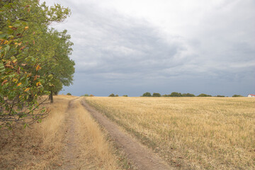 Country dirt road through dry field under cloudy sky