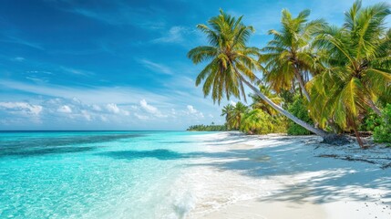 Fototapeta premium A pristine tropical beach showcases tall palm trees along the shore. The turquoise waves gently lap at the soft white sand under a bright blue sky with fluffy clouds.