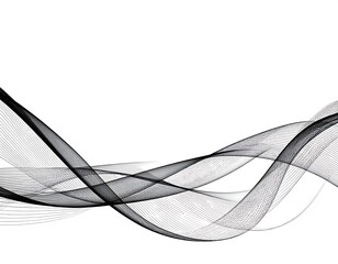 Elegant black and white abstract lines create a modern and flowing design