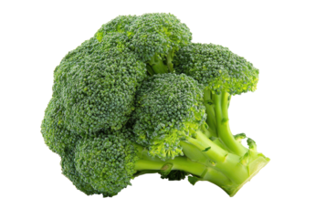 Close-up of a fresh broccoli head (2)