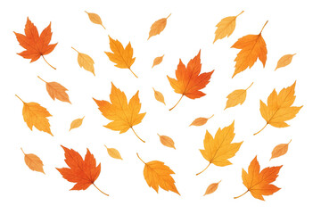 Autumn leaves falling, maple tree foliage creating a vibrant seasonal pattern on transparent background