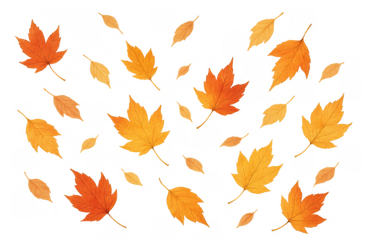 Autumn leaves falling, maple tree foliage creating a vibrant seasonal pattern on transparent background - Powered by Adobe