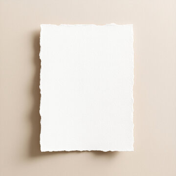 Handmade deckle edge paper on neutral background