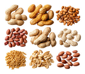 Assorted peanuts and other nuts in a grid pattern