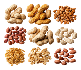 Assorted peanuts and other nuts in a grid pattern
