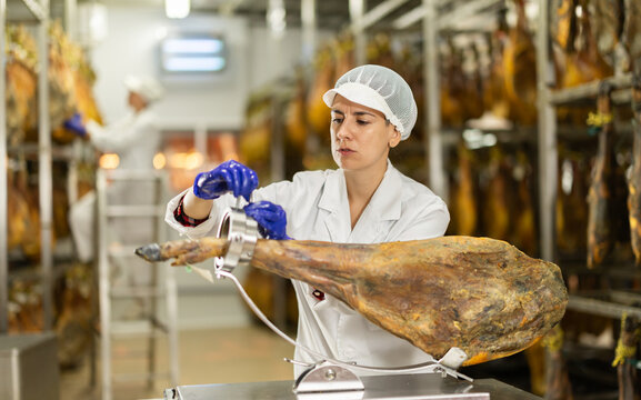 On iron multi-level trolley there is device jamonero for fixing hamon, cutting dried meat into slices. Woman employee is busy preparing ham for slicing.. - Powered by Adobe