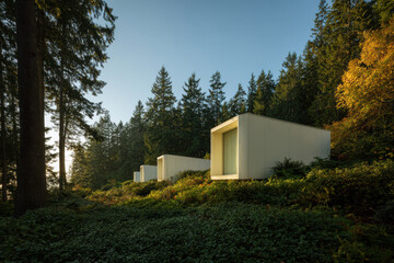 contemporary capsule homes nestled in tranquil forest setting featuring panoramic overlooking tall pines