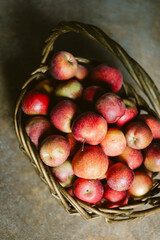 Freshly picked red apples in a woven basket on a rustic surface during autumn harvest season