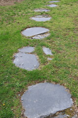 stepping stones in the grass