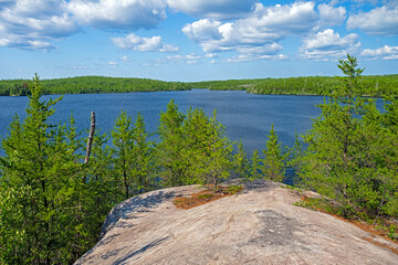 Lake and Forest in the Remote North Woods