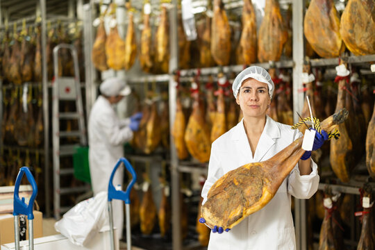 Qualified female technologist holds a large jamon in hands, she inspects quality in the factory. Worker looks at the aging date of the jamon