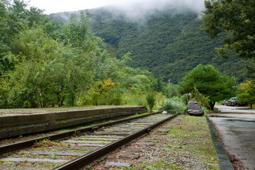 Overgrown Tracks and Platform