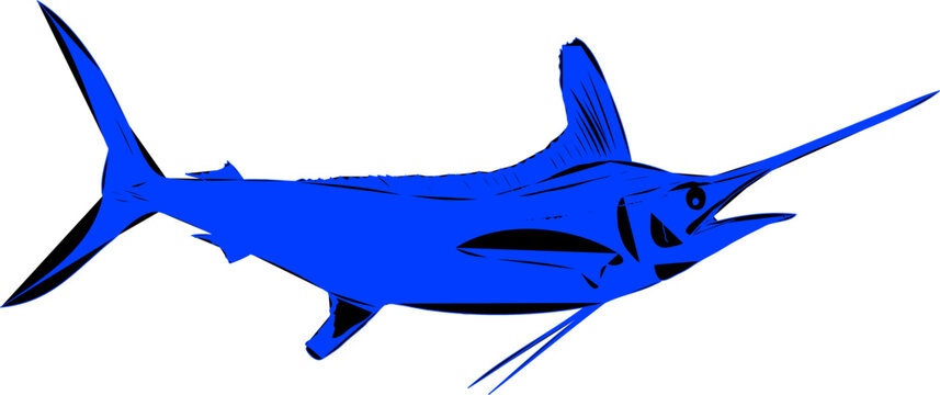 Blue silhouette and black outlined White Marlin fish