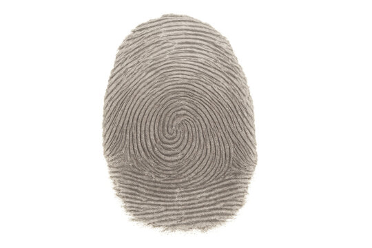 Fingerprint scanning for security access and personal identification, protecting digital data with biometric technology