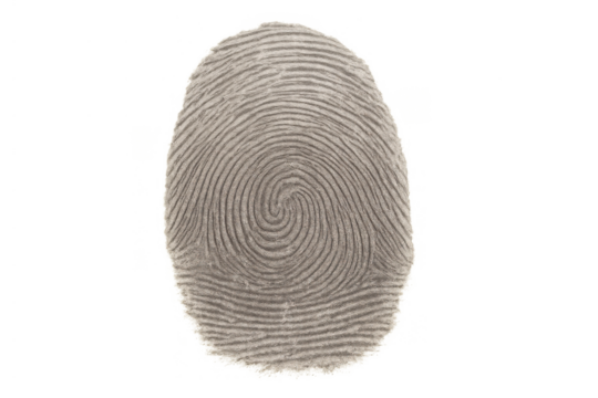 Fingerprint scanning for security access and personal identification, protecting digital data with biometric technology - Powered by Adobe