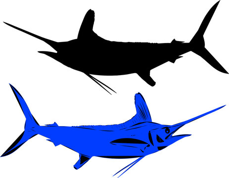 Blue and black silhouettes of White Marlin fish