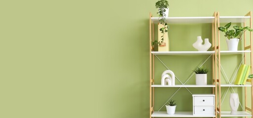 Bookcase with plants and decor near green wall. Banner for design © Pixel-Shot