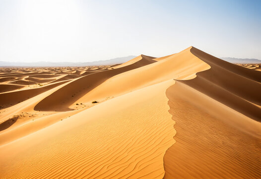 sharp curved sand dune ridge with wind ripples in a vast arid desert landscape