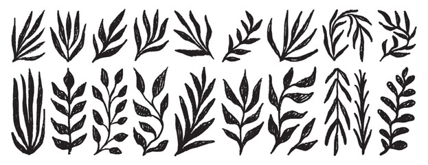 Plant silhouette leaves textured set. Leaves crayon hand drawn foliage simple collection. Trendy nature freehand rough grunge organic shapes.