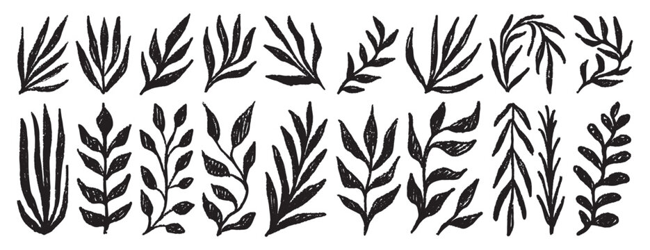 Plant silhouette leaves textured set. Leaves crayon hand drawn foliage simple collection. Trendy nature freehand rough grunge organic shapes.