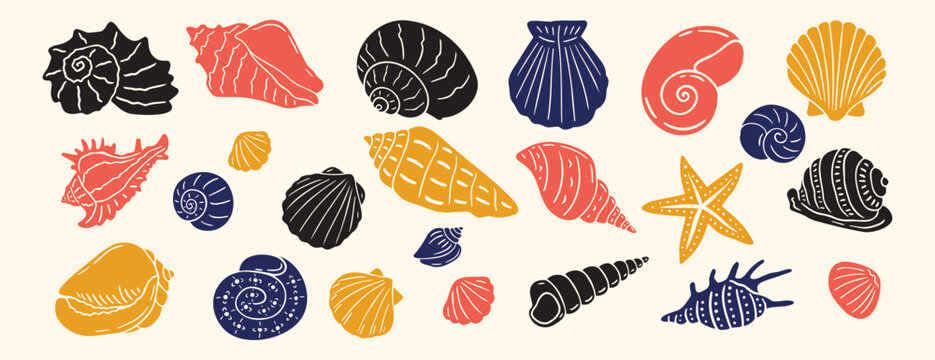 Sea shell, sink cartoon set. seashell aquatic mollusk doodle hand drawn icon set. Outline drawing line clipart symbol collection