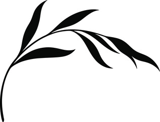 Elegant black silhouette of a delicate plant branch with gracefully flowing leaves, ideal for versatile graphic design elements, decorative motifs, and minimalist botanical illustrations