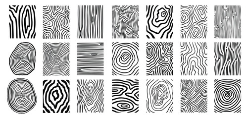 Wood lines texture material doodle hand drawn line set. Rings and circles tree trunk geometric curve, wave contour.  © Yanka